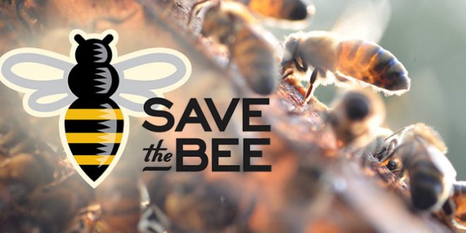 save-the-bee-660x330