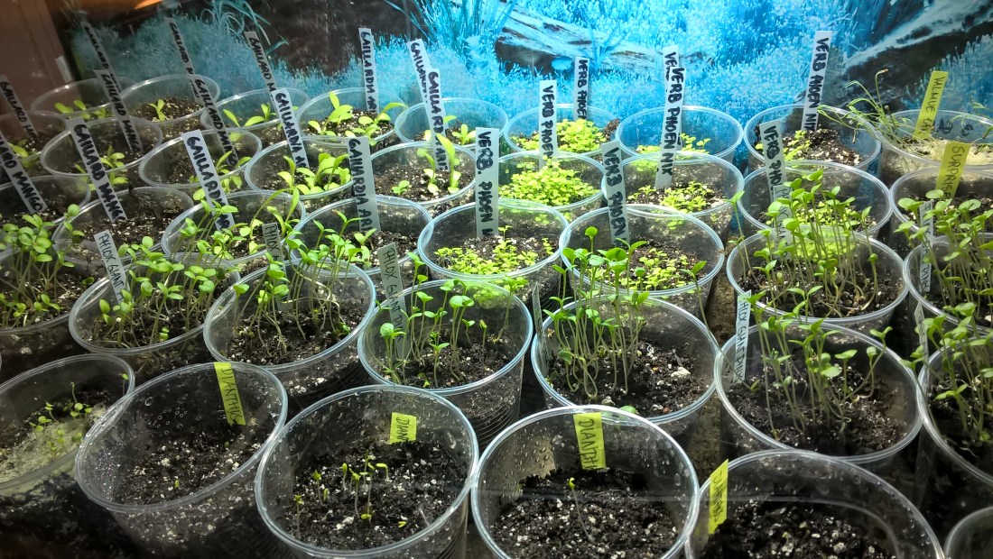 WP_20160324_15_20_45_Pro