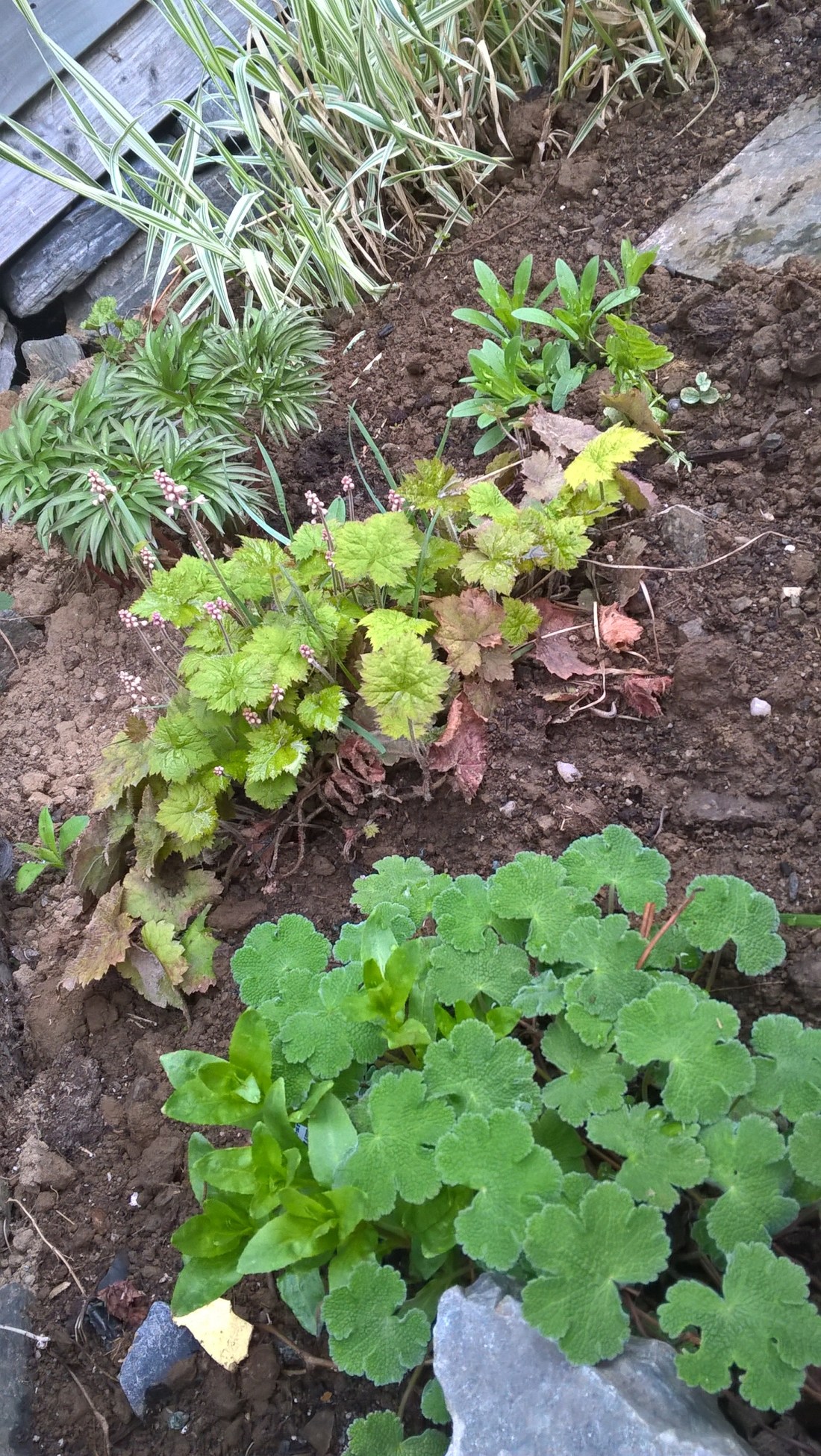 WP_20160528_19_53_52_Pro