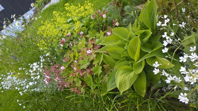 WP_20160711_20_51_15_Pro