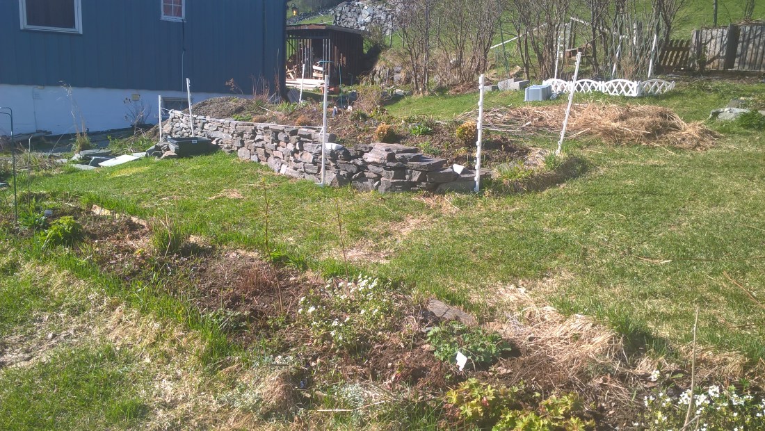 WP_20170519_17_45_10_Pro