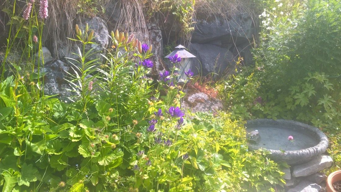 WP_20170706_11_10_41_Pro