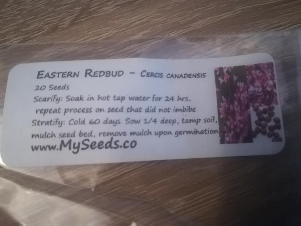 54458164_3075974495761682_3399425950033641472_n