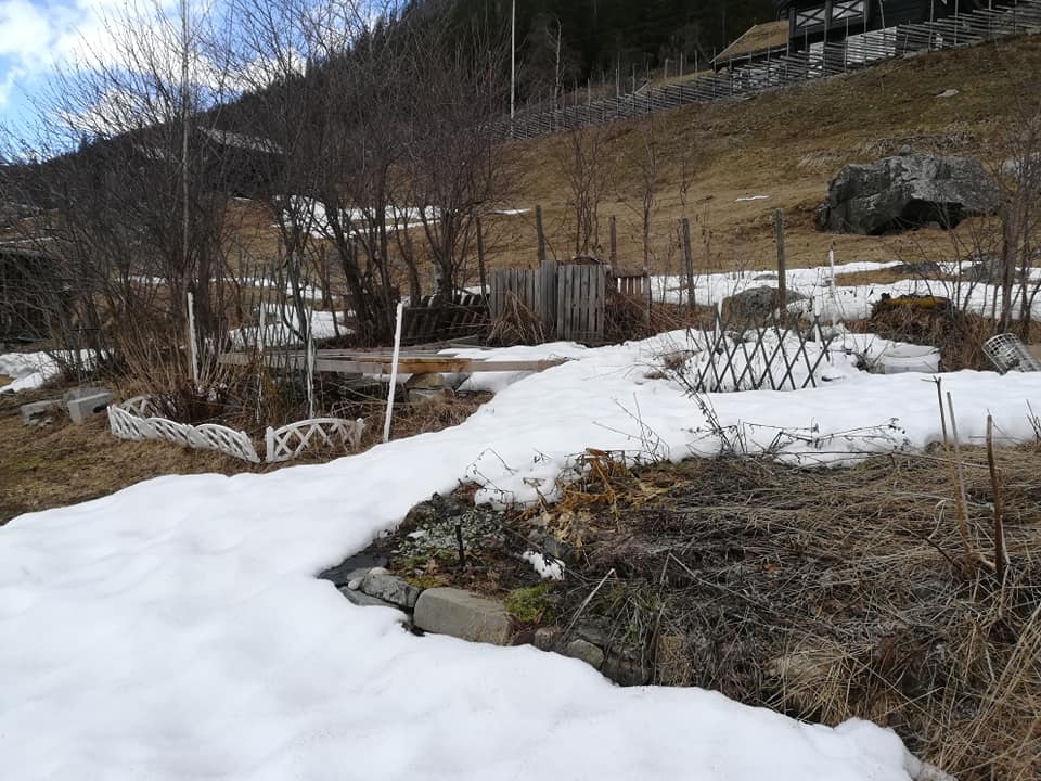 55853486_3076116165747515_343142271765446656_n