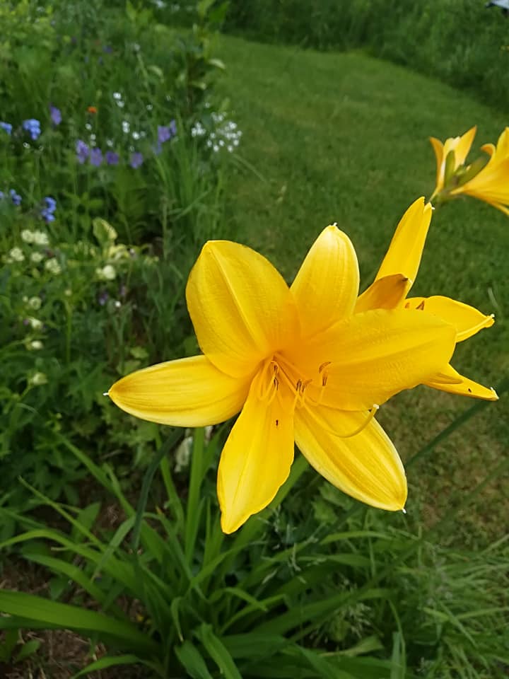 55861145_3088139937878471_5332189618672500736_n