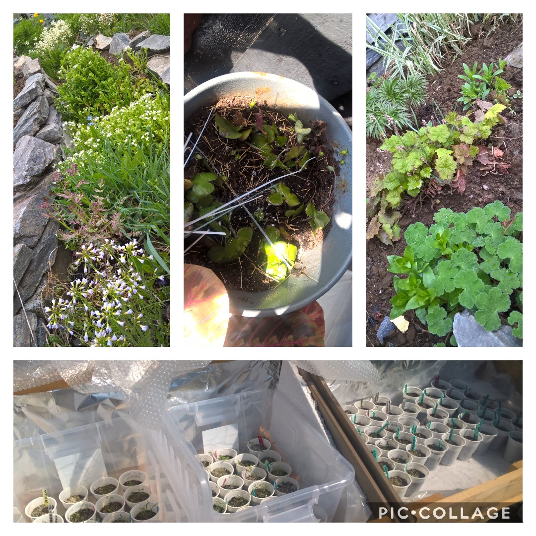 Collage 2018-04-30 19_47_08