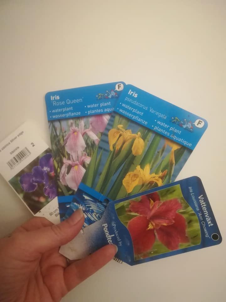 56531089_3106605922698539_7577776848063430656_n