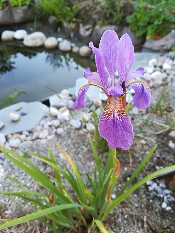 56564608_3106614889364309_4050024121403179008_n