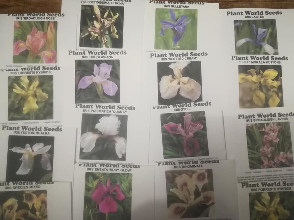 56775576_3106605802698551_5762225401027887104_n