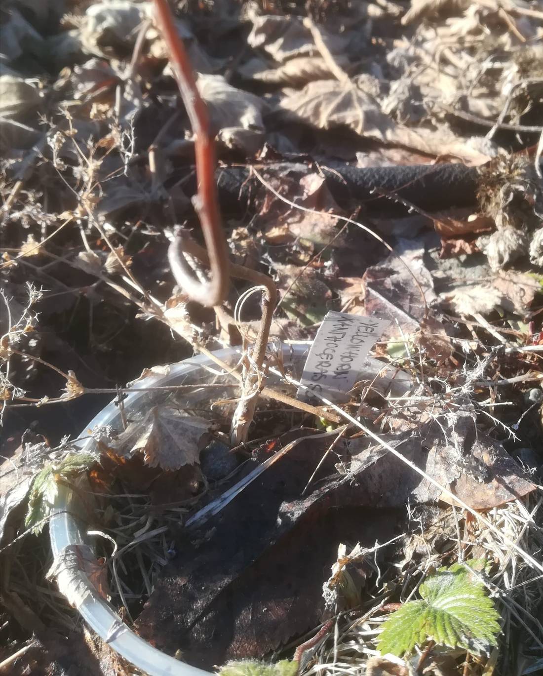 56857690_3122080717817726_6874100057805684736_o