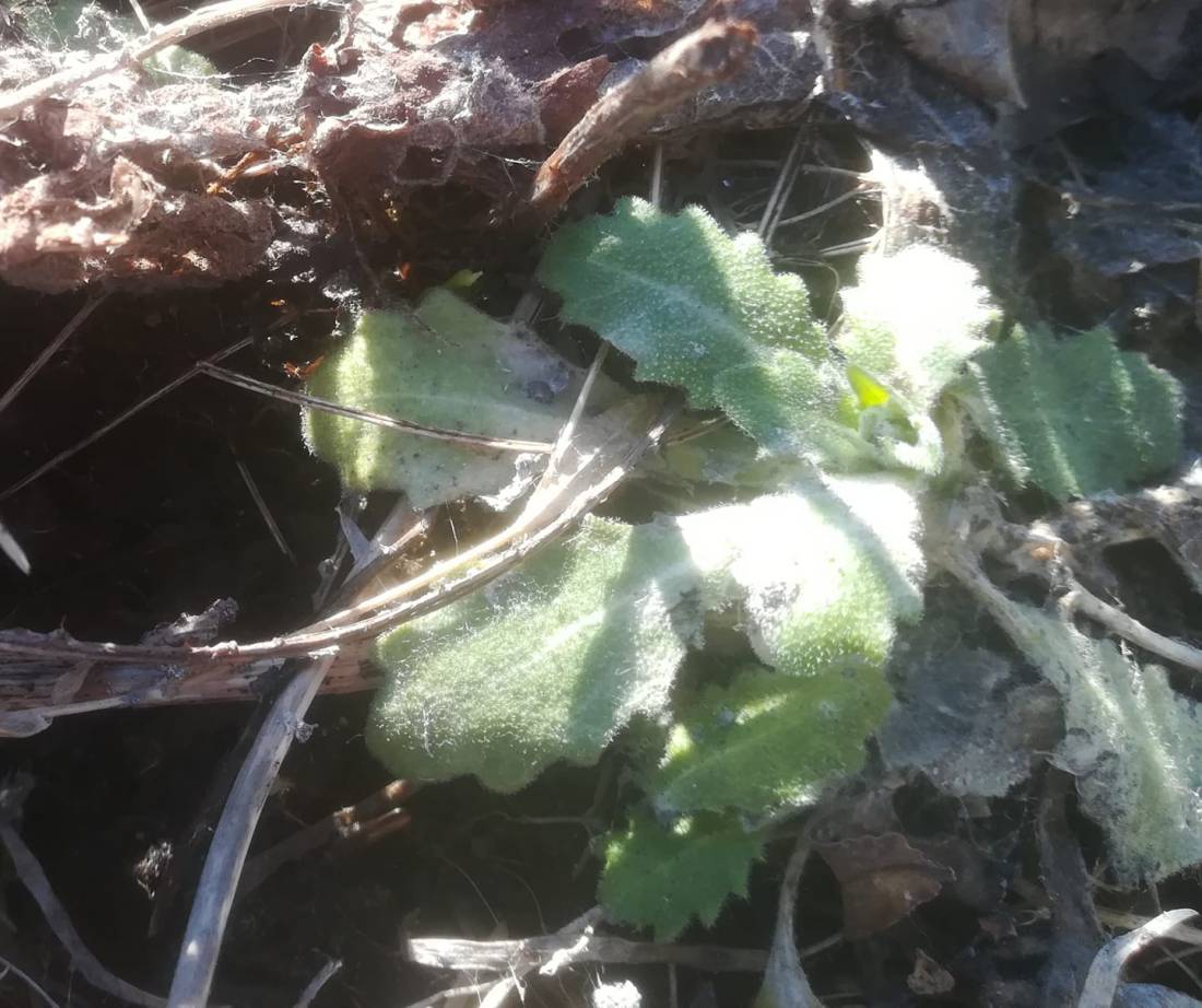 57077624_3129987707027027_3899228021504081920_o