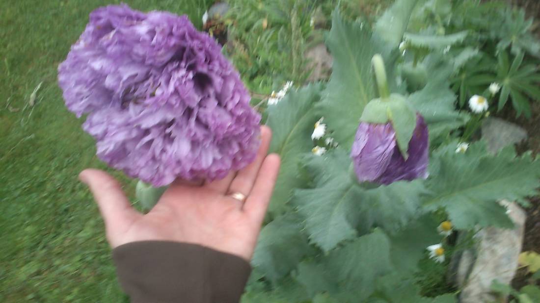 57168303_3123572831001848_1683408944153755648_o