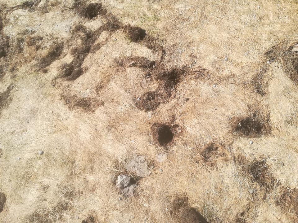 57297829_3138423489516782_1082672156225044480_n