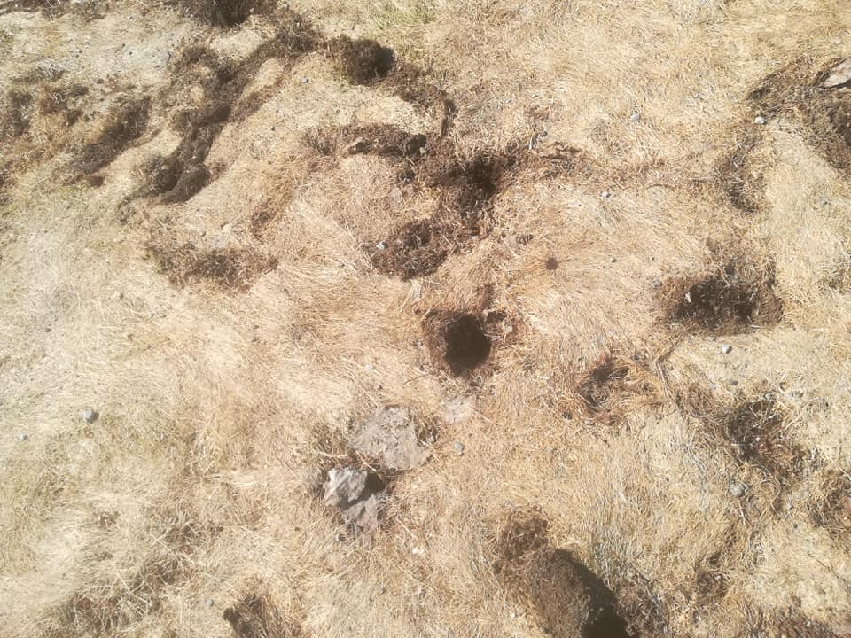 57368820_3138422979516833_6300776538593820672_n