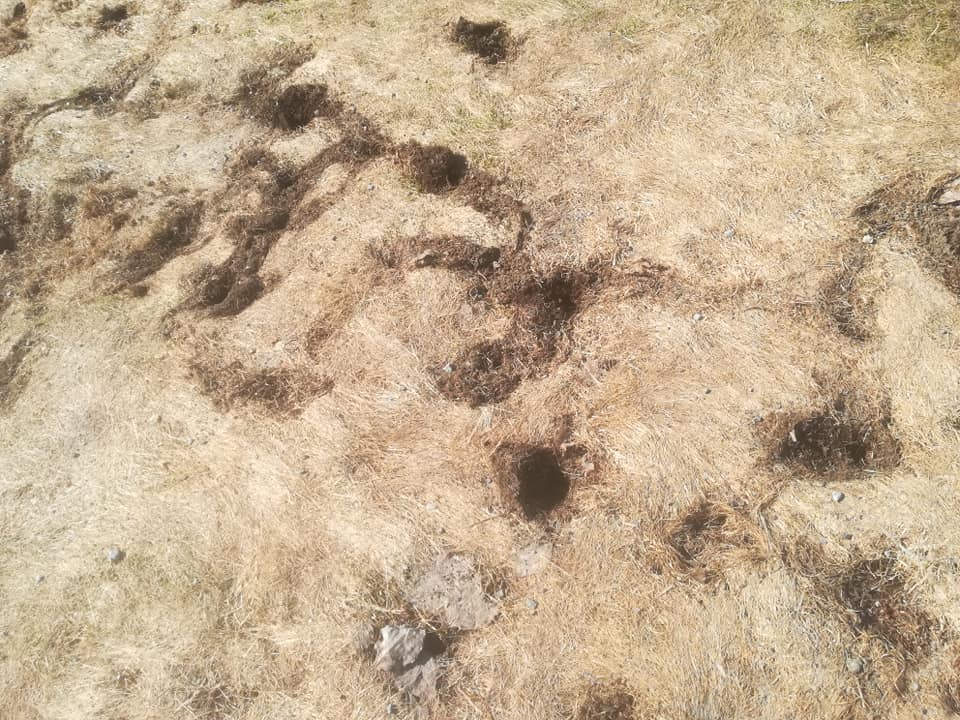 57430333_3138423249516806_8780760126400233472_n