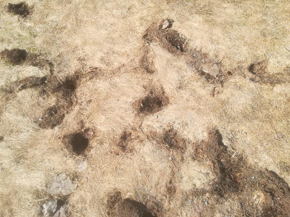 57550534_3138423686183429_2372121686100148224_n