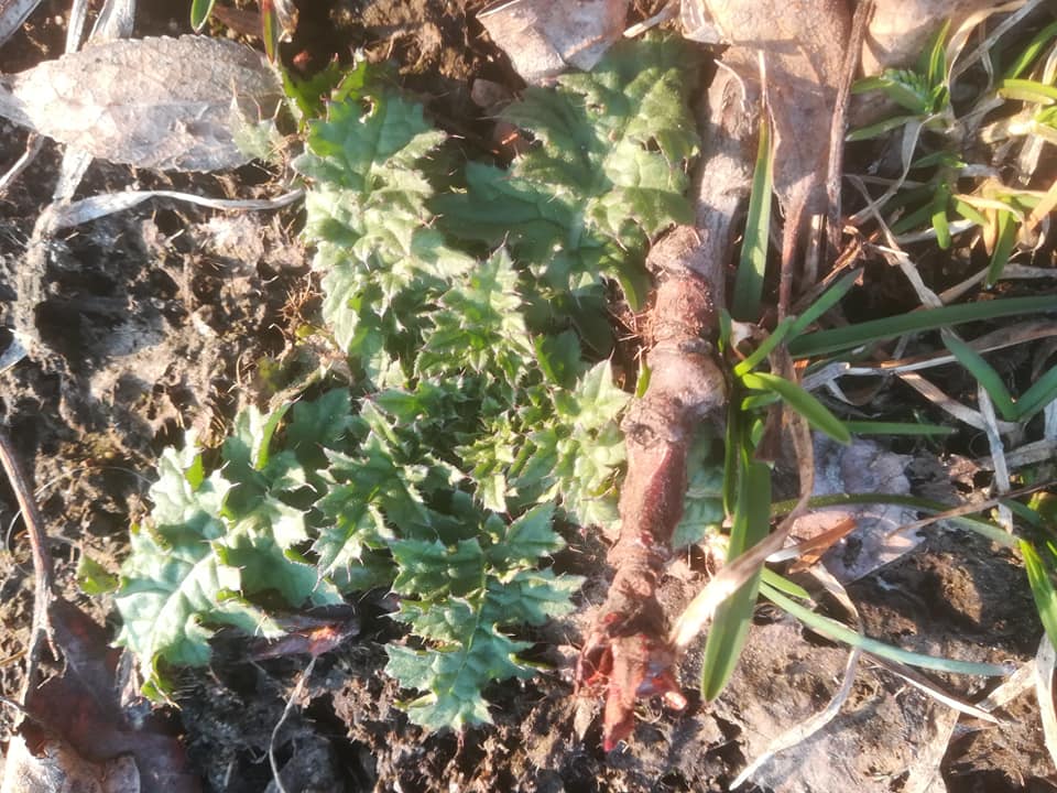 58373448_3148626761829788_4640951904107495424_n