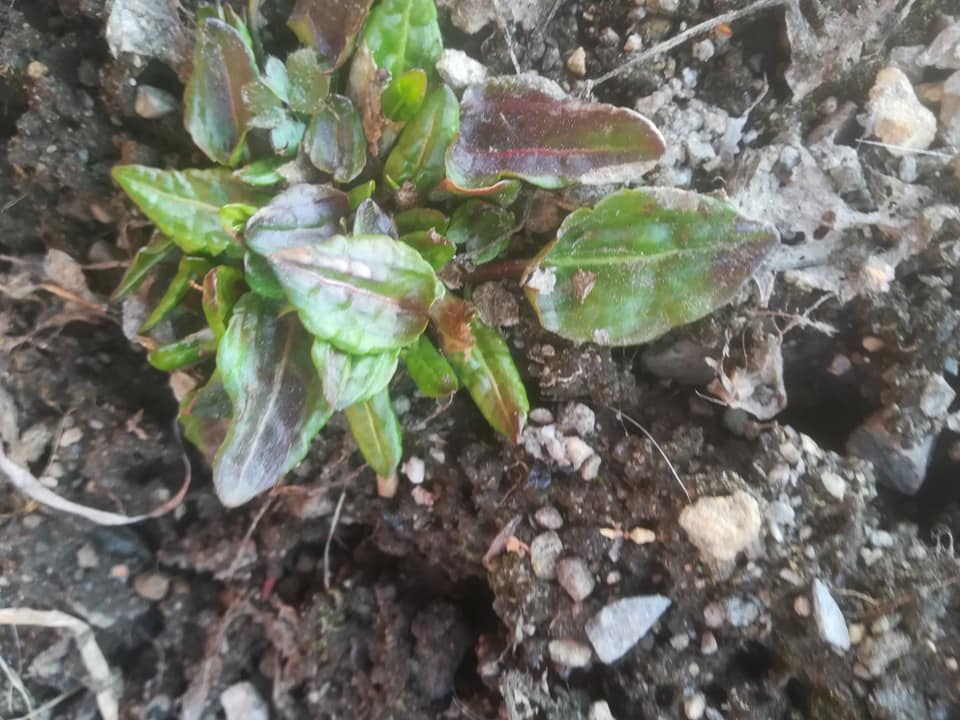 58374329_3148627131829751_668884565862907904_n