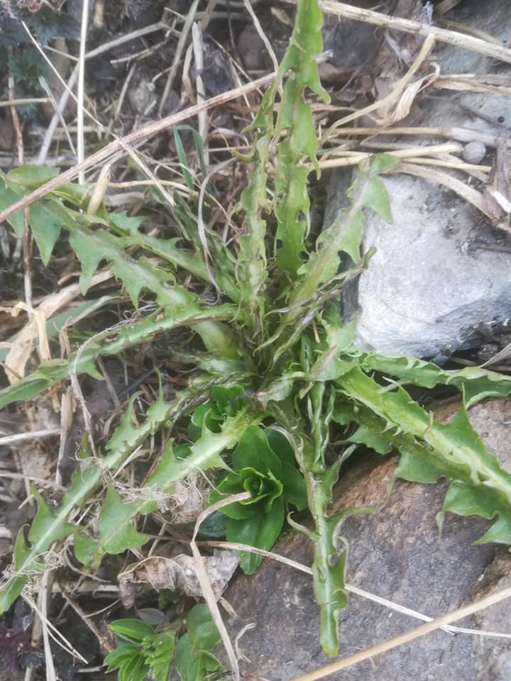 58377798_3148628215162976_7081501614757904384_n