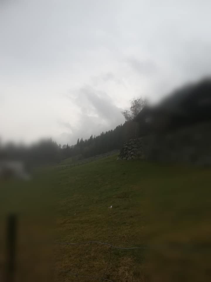 58380289_3157256830966781_6473613203770179584_n