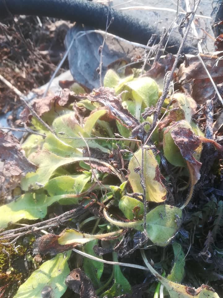 58442925_3148627441829720_6835512886207447040_n