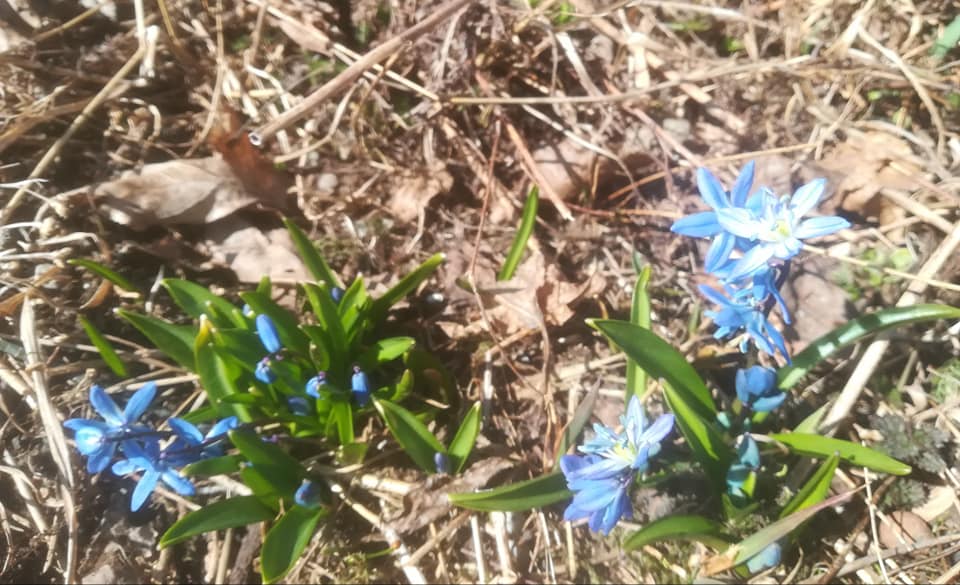 58443978_3148852385140559_5493447198047731712_n