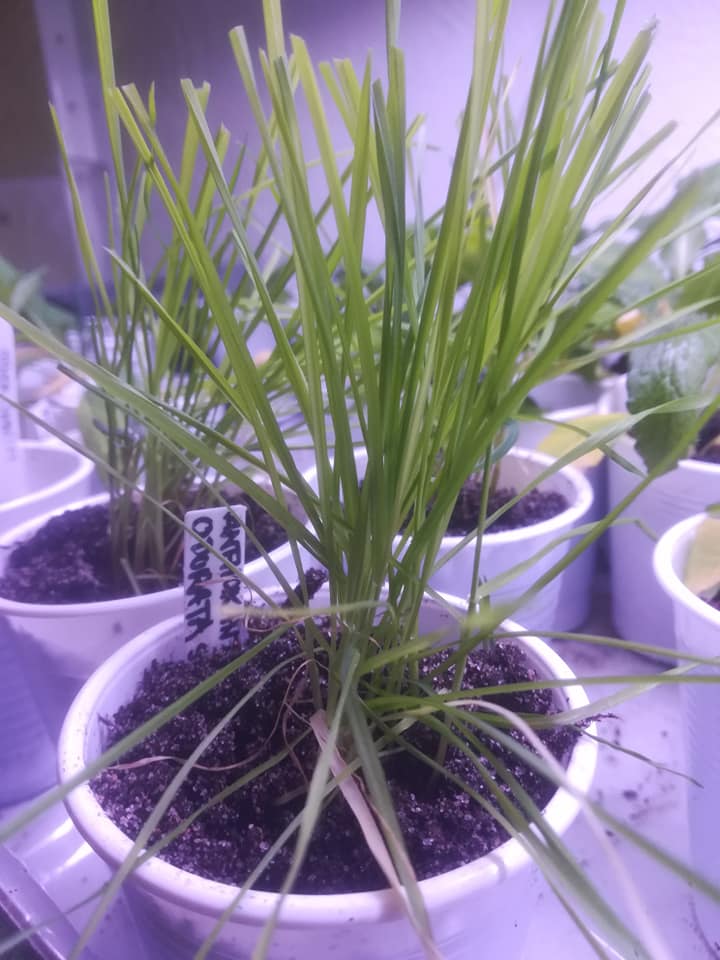 58608376_3138452422847222_270547437448331264_n