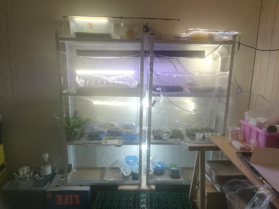 54730435_3075978009094664_888344191959040000_n