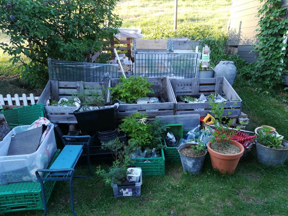 56913347_3123538907671907_4200614015627427840_n