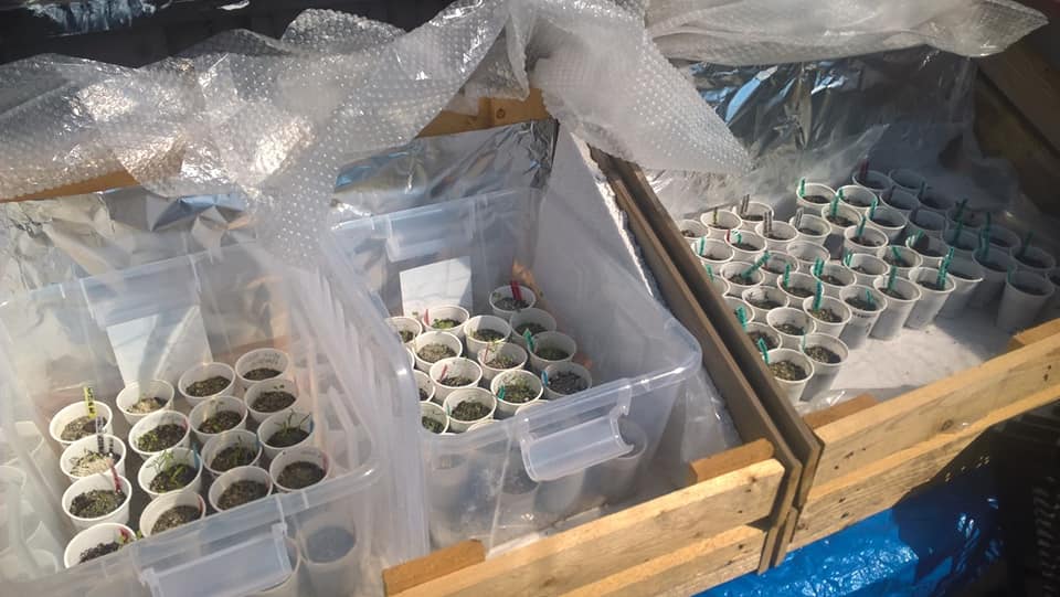 59305986_3165627580129706_998981548776620032_n