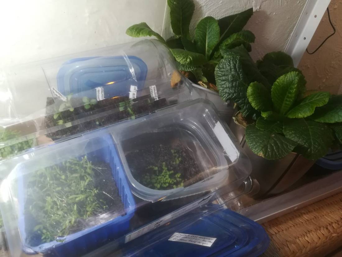 59850494_3190459207646543_3251536739835052032_o