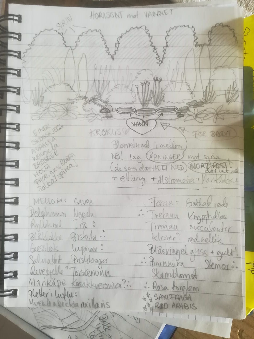 59934204_3192498967442567_5617762466629943296_o