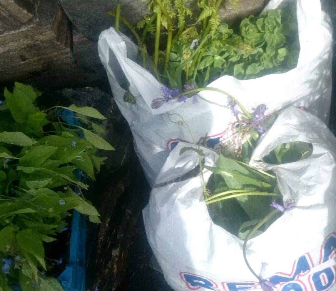 60083405_3192669707425493_3568192124379725824_o