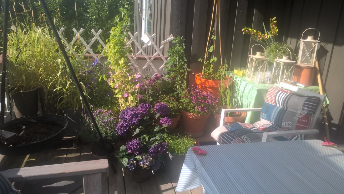 WP_20170903_15_13_27_Pro