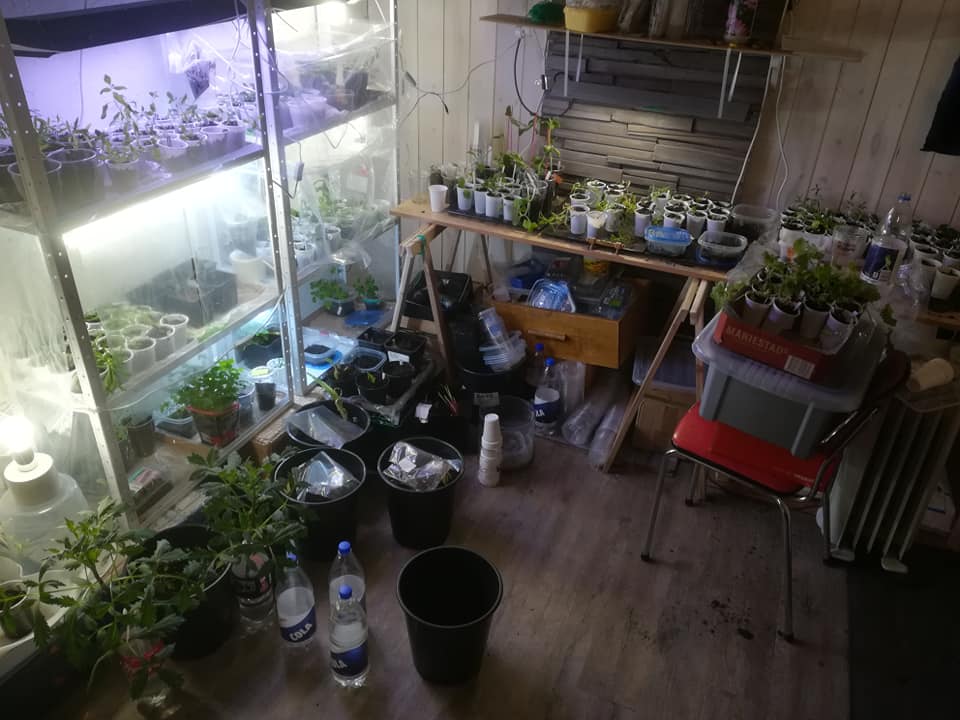 61764484_3246713485354448_8569510605168312320_n