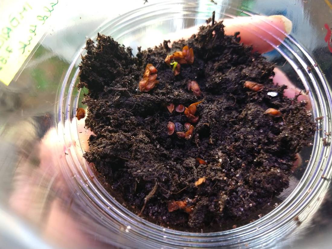 62081916_3263819313643865_2605414160611147776_o