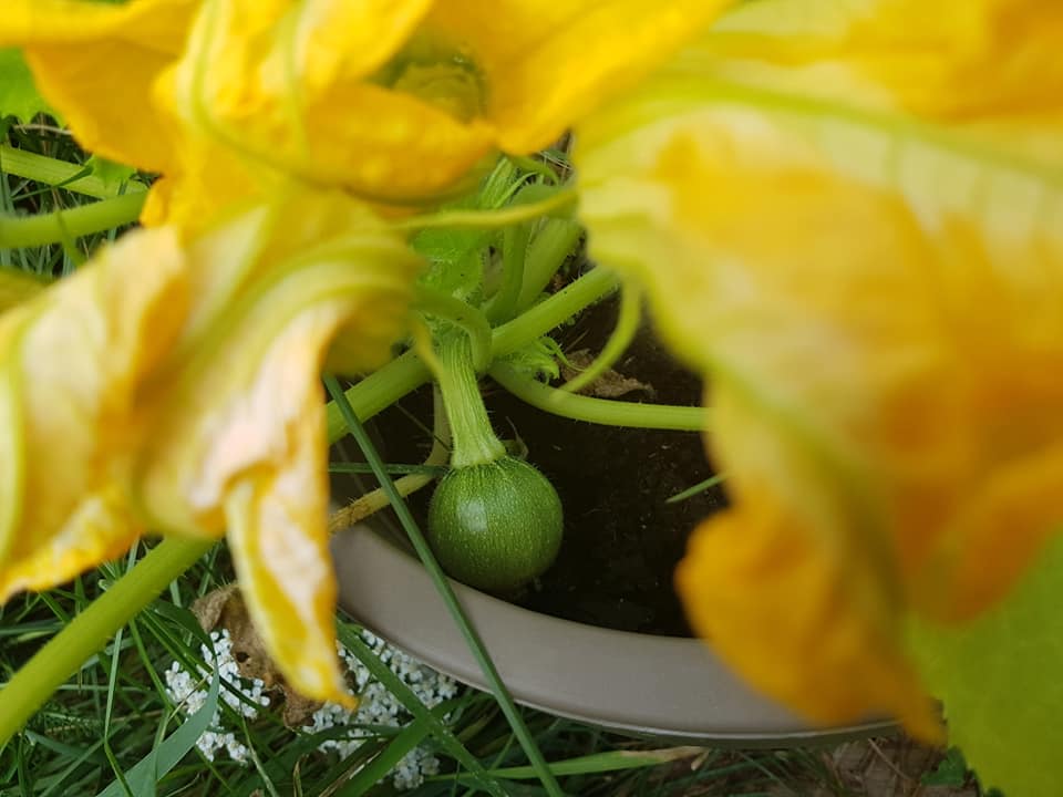 70155307_3553397501352710_1979893049152503808_n