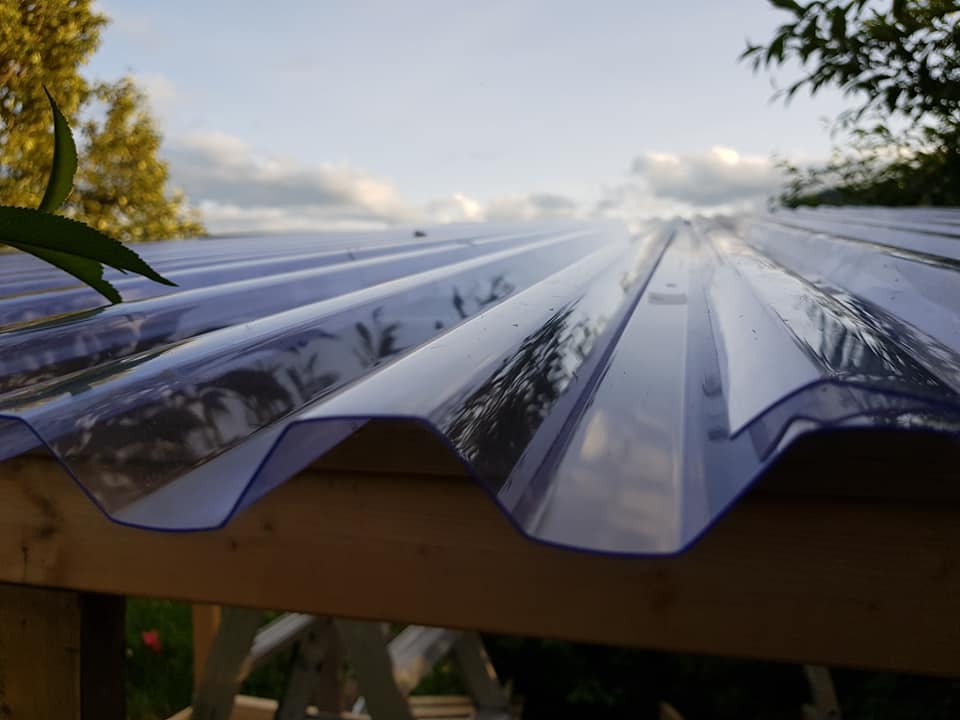 70373226_3553398991352561_3925158615970742272_n